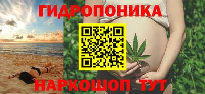 ECSTASY Камышлов