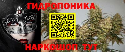 ECSTASY Камышлов