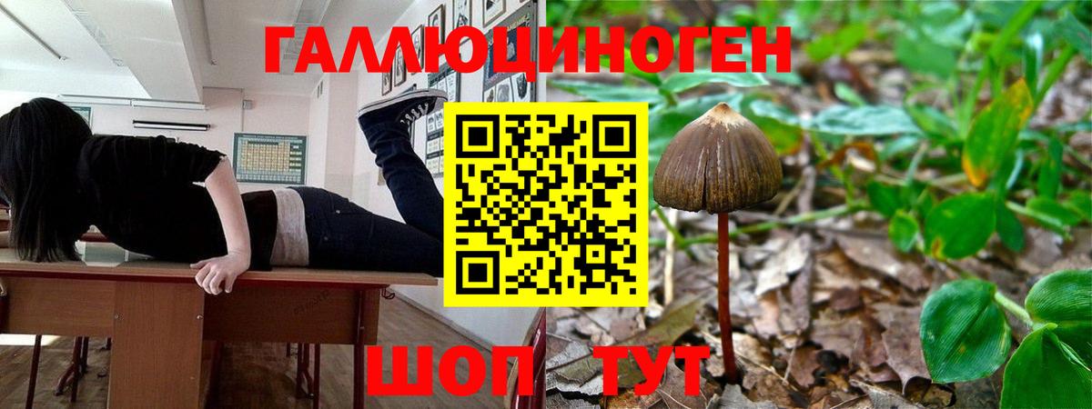 Кузнецк  Псилоцибиновые грибы GOLDEN TEACHER  Вход с VPN 