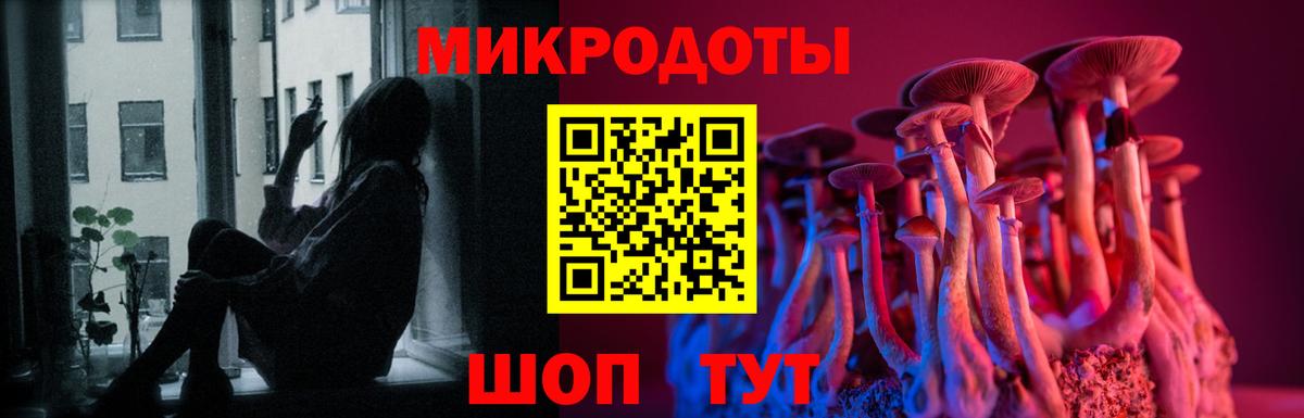 Галлюциногенные грибы Magic Shrooms Кузнецк